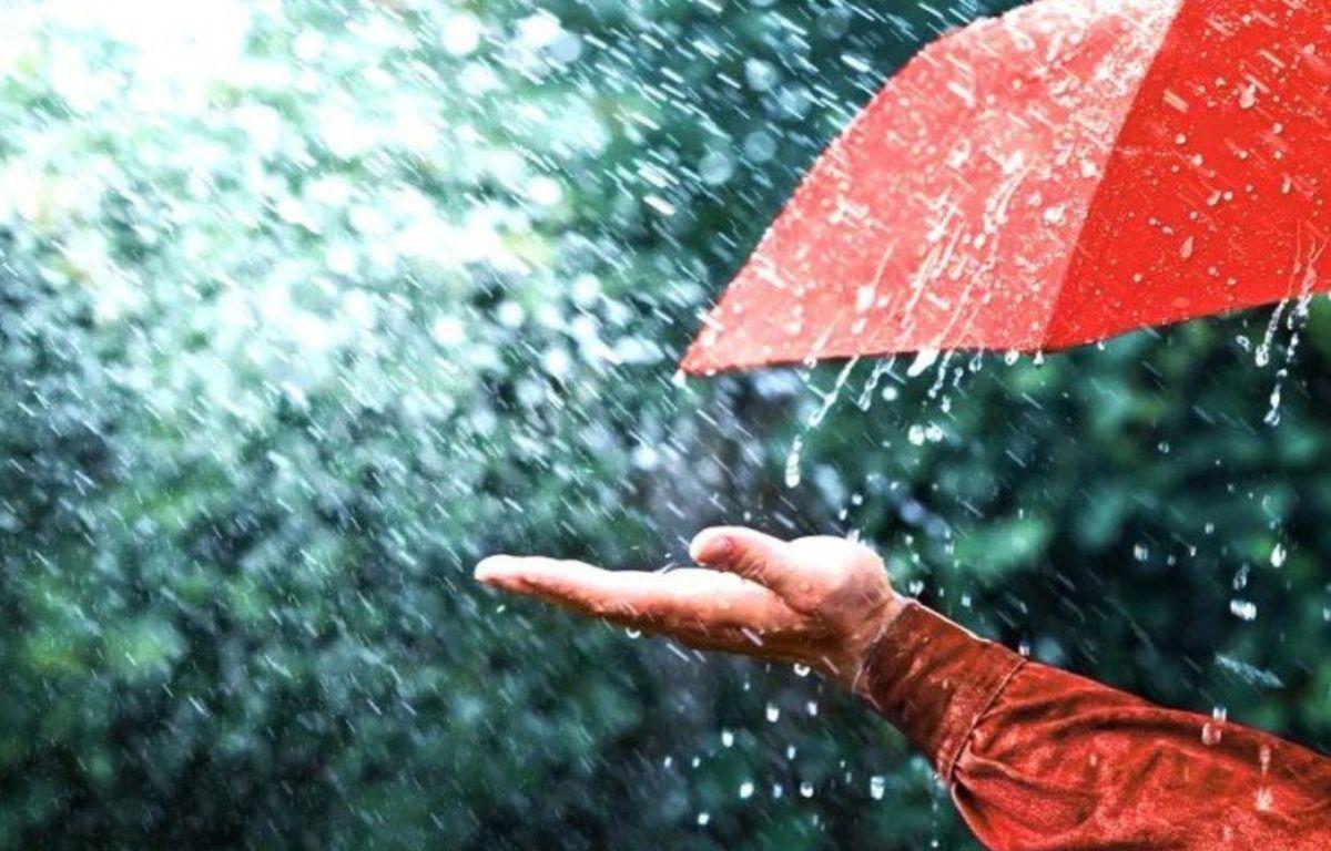 मौसम अपडेट: अजमेर, बीकानेर और चूरू में आज बारिश, 3 दिन बाद इन 10 जिलों में बरसेंगे बादल