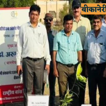 बांस की खेती बदलेगी पश्चिमी राजस्थान की तस्वीर! इस विश्वविद्यालय ने शोध में किया खुलासा