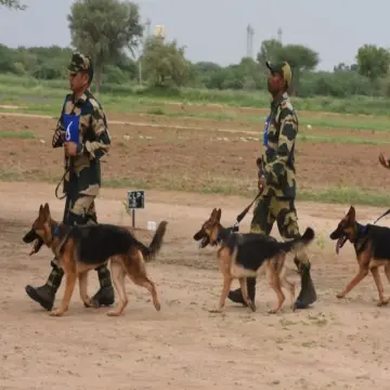 बॉर्डर पर नशे के नेटवर्क को ध्वस्त करेंगे जर्मन शेफर्ड और लैब्राडोर, जानिए कैसे