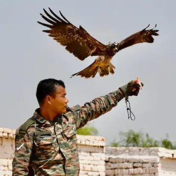 अर्जुन को बॉर्डर पर दुश्मन के ड्रोन गिराने और निगरानी रखने के लिए सेना में शामिल किया गया था।