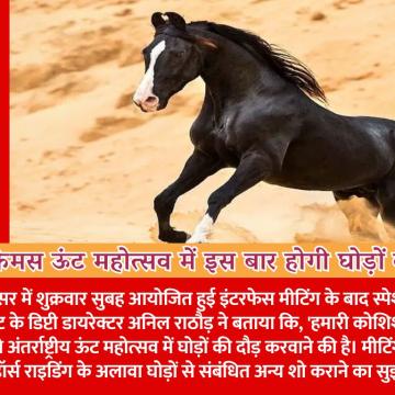 वर्ल्ड फेमस ऊंट महोत्सव में इस बार होगी घोड़ों की रेस, राजस्थान पर्यटन विभाग कर रहा तैयारी