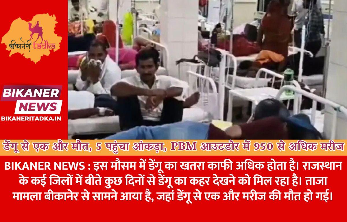 बीकानेर में डेंगू से एक और मौत, 5 पहुंचा आंकड़ा, PBM आउटडोर में 950 से अधिक मरीज। जाने बचाव के तरीके...