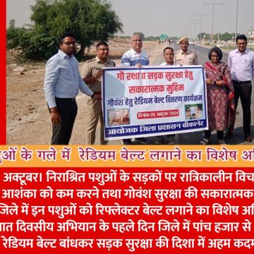 सड़क सुरक्षा के लिए निराश्रित पशुओं के गले में  रेडियम बेल्ट लगाने का विशेष अभियान प्रारंभ
