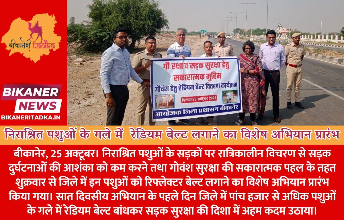 सड़क सुरक्षा के लिए निराश्रित पशुओं के गले में  रेडियम बेल्ट लगाने का विशेष अभियान प्रारंभ
