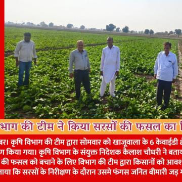 कृषि विभाग की टीम ने किया सरसों की फसल का निरीक्षण