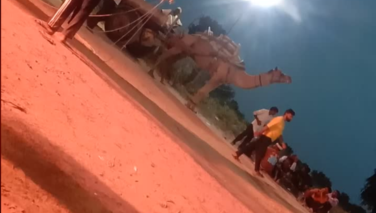 श्री पूनरासर मेला 2025 ध्वजा के साथ झूमे भक्तगण